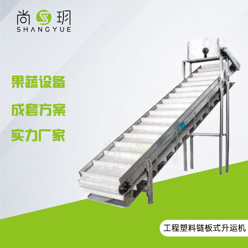 工程塑料链板式升运机