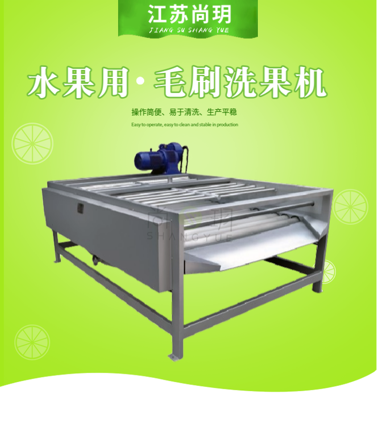 毛刷洗果机产品图1.png