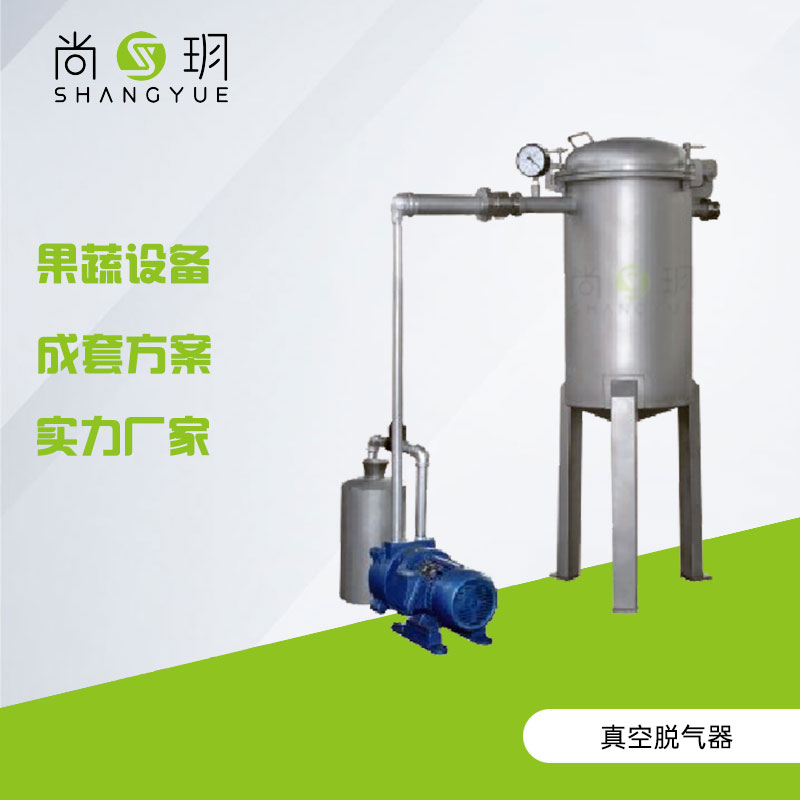 真空脱气器