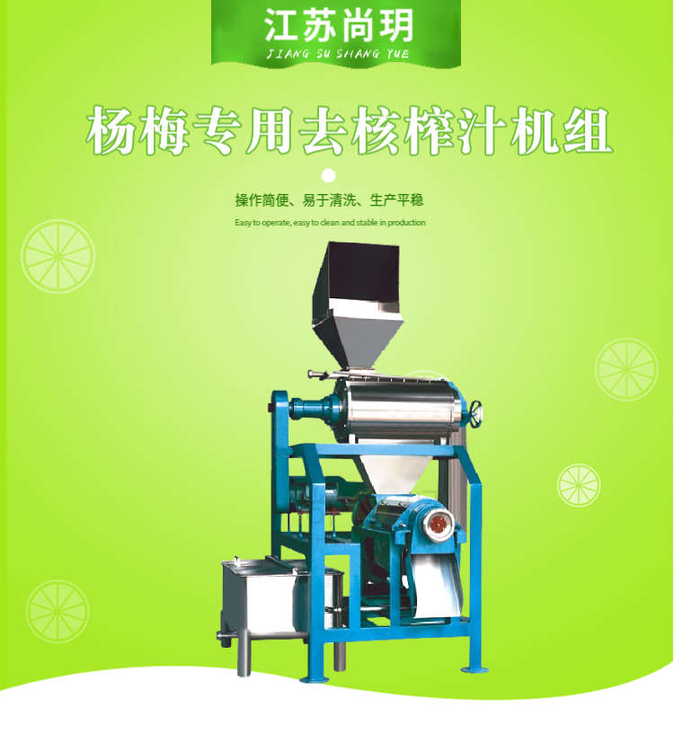 杨梅专用去核榨汁机组产品图1.png